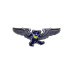 Grateful Dead Blue Bear Pilot Pin Rockwings