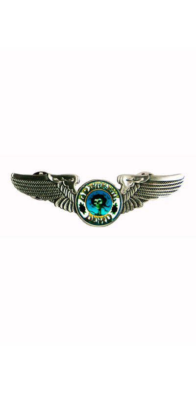 Grateful Dead GD Skull & Roses Pilot Wing Pin Rockwings