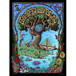 Mini Grateful Dead 60th Anniversary Poster Tapestry  Art by Mike Dubois 30x45 *Tariff Surcharge*