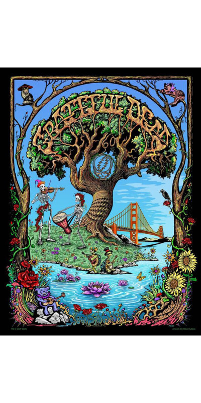 Mini Grateful Dead 60th Anniversary Poster Tapestry  Art by Mike Dubois 30x45 *Tariff Surcharge*