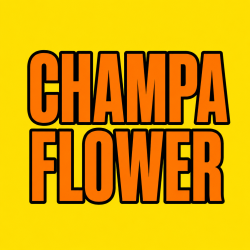 CHAMPA FLOWER 100 pk Wild Berry Incense