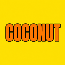 COCONUT 100 pk Wild Berry Incense