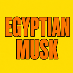 EGYPTIAN MUSK 100 pk Wild Berry Incense