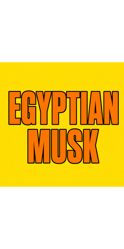 EGYPTIAN MUSK 100 pk Wild Berry Incense