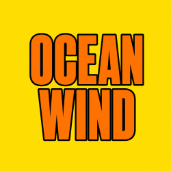 OCEAN WIND 100 pk Wild Berry Incense