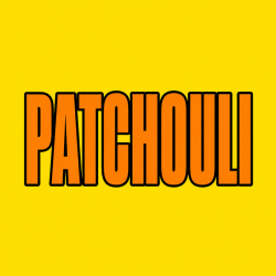 PATCHOULI 100 pk Wild Berry Incense