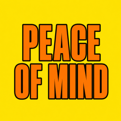 PEACE OF MIND 100 pk Wild Berry Incense