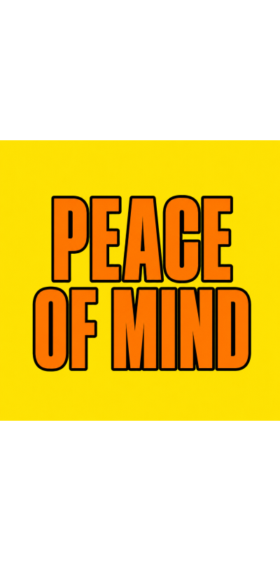 PEACE OF MIND 100 pk Wild Berry Incense
