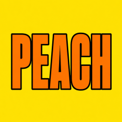 PEACH 100 pk Wild Berry Incense
