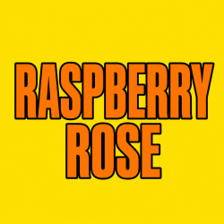 RASPBERRY ROSE 100 pk Wild Berry Incense