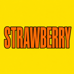 STRAWBERRY 100 pk Wild Berry Incense