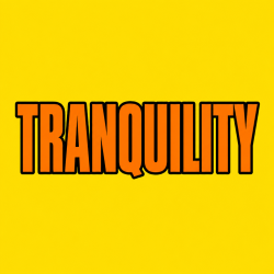 TRANQUILITY 100 pk Wild Berry Incense