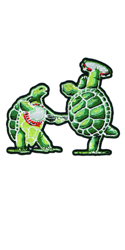 Grateful Dead Terrapins Patch 4.5"