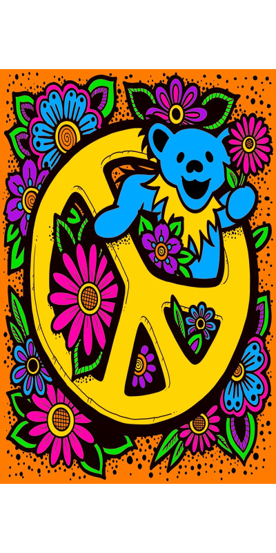 3D Grateful Dead Peace Bear Mini Tapestry 30x45 - Art by Ben Corn