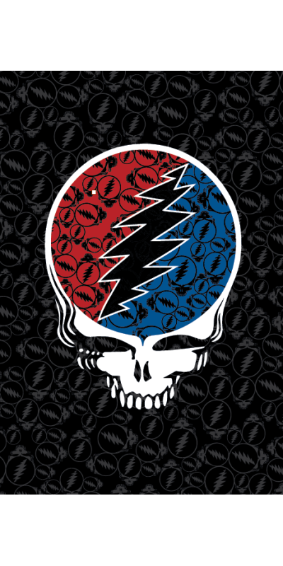 Grateful Dead Steal Your Face Tapestry 52x80 *SALE*