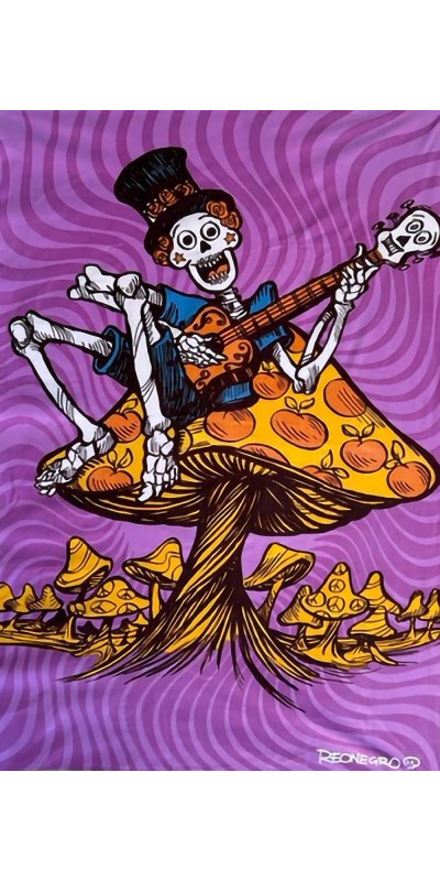 Shroom for More Mini Tapestry 30x45 - Artwork by Tony Reonegro