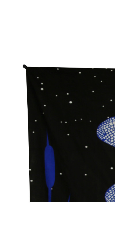 3D Glow in The Dark Dragonfly Moon Tapestry - Art by Taylar McRee