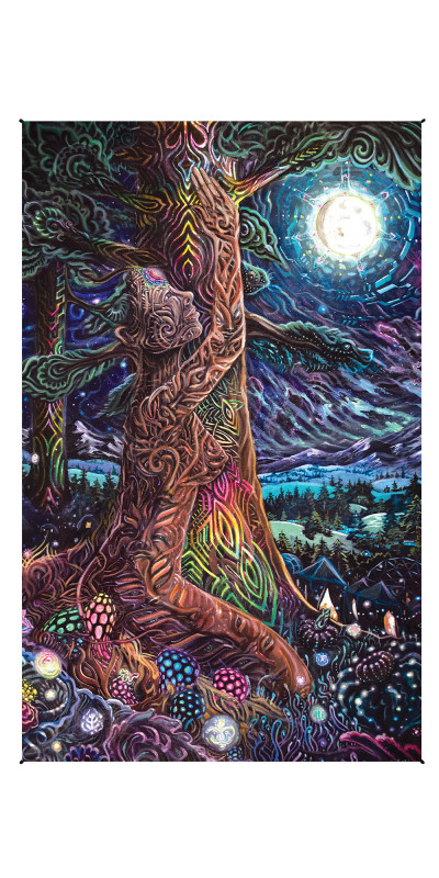 Northern Nights Heady Art Print Mini Tapestry 30x45 - Artwork by Randal Roberts