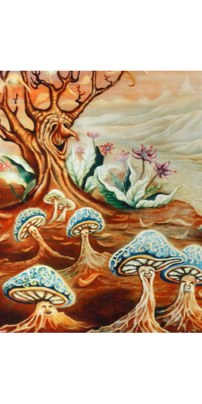 Enlightenment Heady Art Print Tapestry 53x85 - Artwork by Mike DuBois