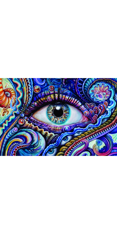 Blue Eye Heady Art Print Mini Tapestry 30x45 - Artwork by Randal Roberts
