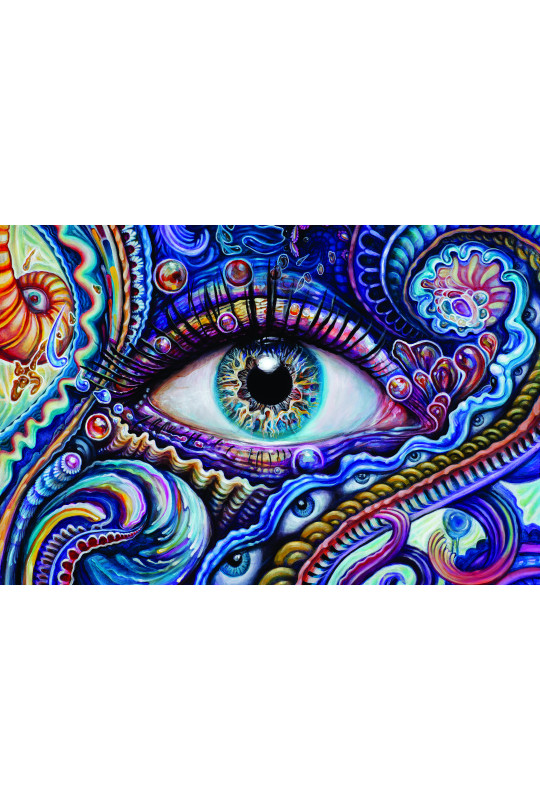  Blue Eye Heady Art Print Mini Tapestry 30x45 - Artwork by Randal Roberts 