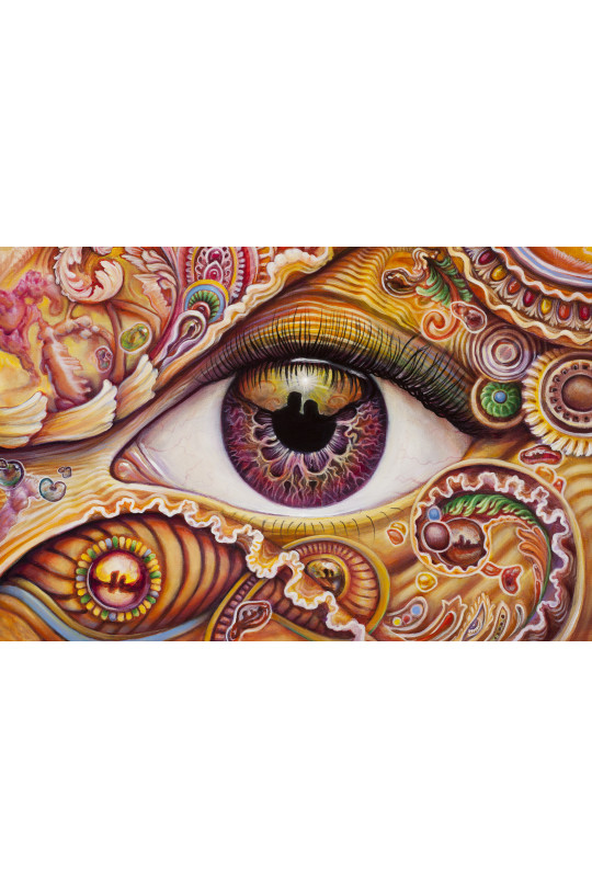 Orange Eye Heady Art Print Mini Tapestry 30x45 - Artwork by Randal Roberts 