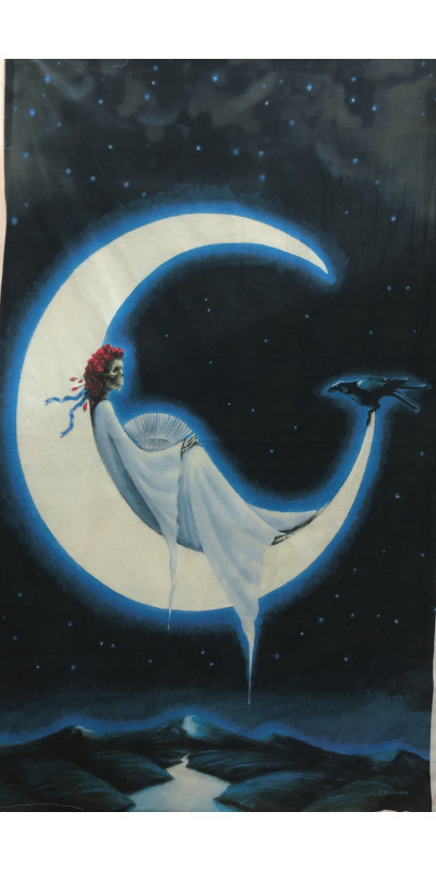 Sleeper Moon Heady Art Print Mini Tapestry 30x45 - Artwork by Richard Biffle
