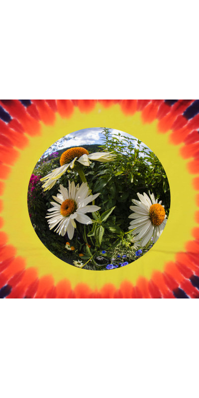 Daisies Tie Dyed T-Shirt