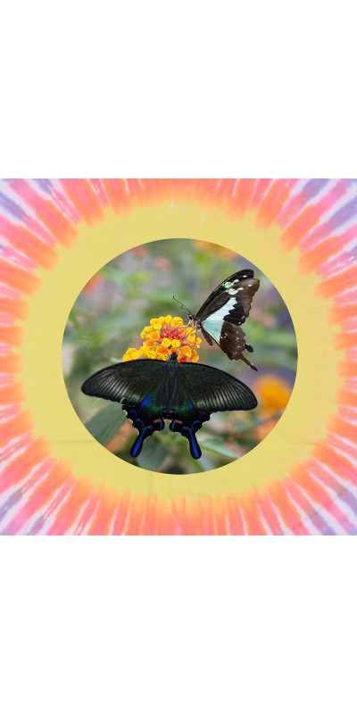 Butterflies Pastel Tie Dyed T-Shirt