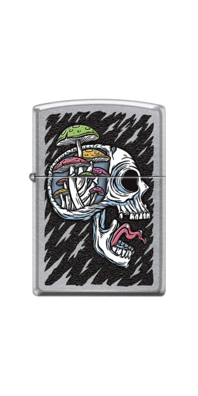 Zippo Starter Pack with Free Display