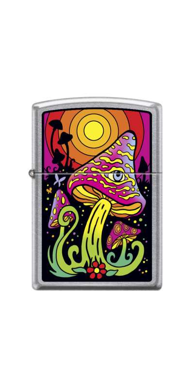 Zippo Starter Pack with Free Display