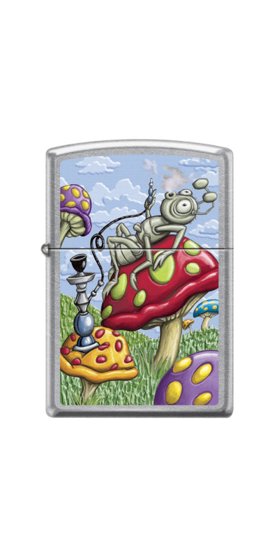 Zippo Starter Pack with Free Display