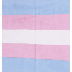 Trans Flag Bandana 22x22 