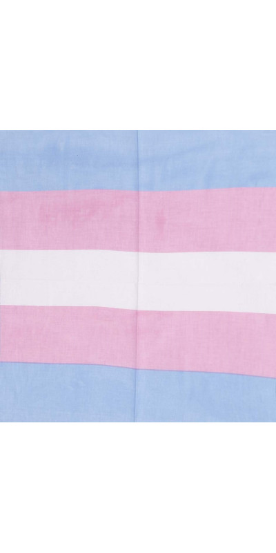 Trans Flag Bandana 22x22