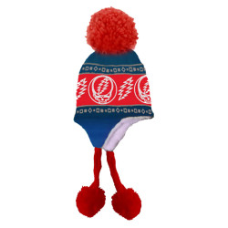 Grateful Dead Steal Your Face Skull Ski Hat Blue Red