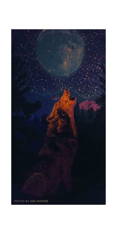 3D Glow in the Dark Wolf Mini Tapestry 30x45
