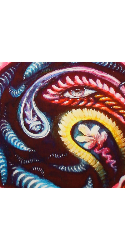 Event Horizon Heady Art Print Tapestry 53x85 - Artwork by Randal Roberts