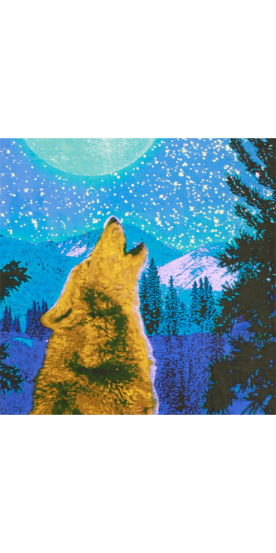 3D Glow in the Dark Wolf Mini Tapestry 30x45