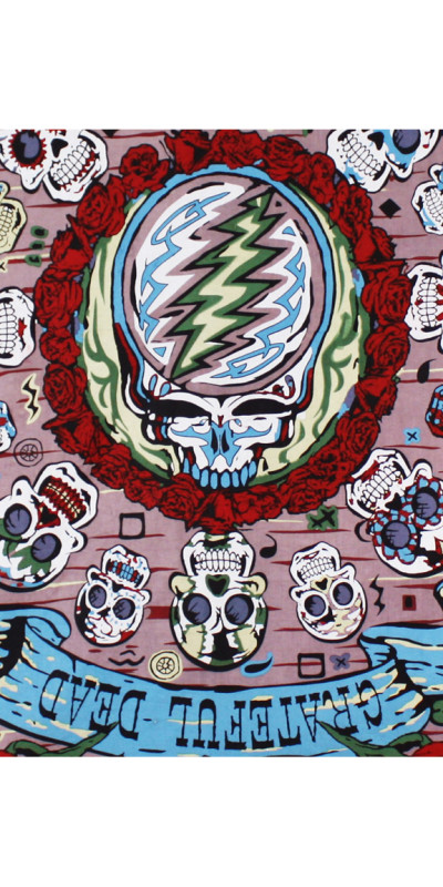 3D Grateful Dead Mexicali SYF Skulls Mini Tapestry 30x45 -Art by Shannon Hurst