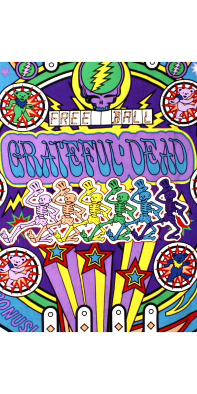 3D Grateful Dead Pinball Machine Mini Tapestry 30x45 - Art by Shannon Hurst