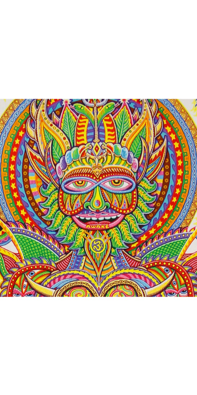 Human Evolution Heady Art Print Tapestry 53x85 - Artwork by Chris Dyer