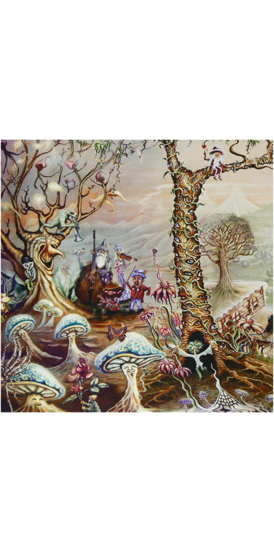 Sunshine Daydream Heady Art Print Mini Tapestry 30x45 - Artwork by Mike DuBois