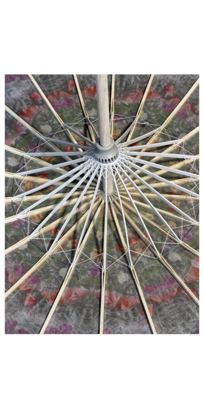 Parasol Trip Toe Tulips **ARRIVING JUNE**