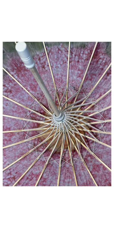 Parasol Pink Bloomer **ARRIVING JUNE**