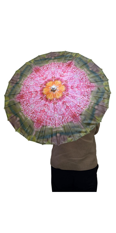 Parasol Pink Bloomer **ARRIVING JUNE**
