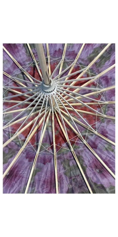 Parasol Purple Petunia **ARRIVING JUNE**