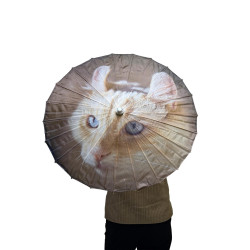 Parasol Cool Curl Cat **ARRIVING JUNE**