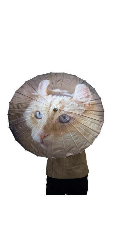 Parasol Cool Curl Cat **ARRIVING JUNE**