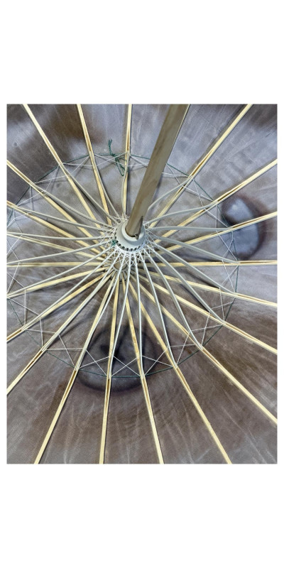 Parasol Cool Curl Cat **ARRIVING JUNE**