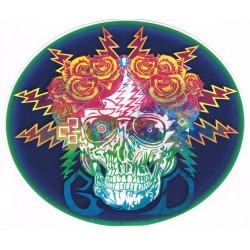Grateful Dead Electric Dimensions Skull Sticker 5.5"